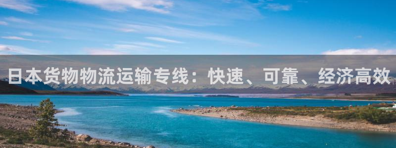 日本货物物流运输专线：快速、可靠、经济高效(图1)