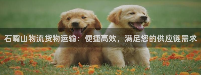 888集团电子网址最新