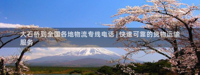 888集团电子网址最新